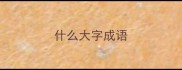 什么大字成语