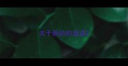 关于新的的成语