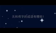 无和有字的成语有哪些
