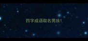 四字成语取名男孩