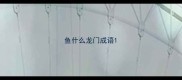 鱼什么龙门成语