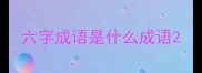 六字成语是什么成语