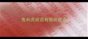 兔和虎成语有哪些成语
