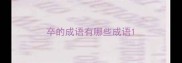 卒的成语有哪些成语