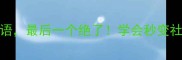10个鹤立鸡群的成语最后一个绝了学会秒变社交圈焦点成语大全