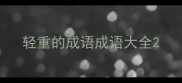 轻重的成语成语大全