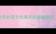 惊艳的成语100个让你秒变文化高手的趣味知识附超全学习模板