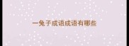 一兔子成语成语有哪些