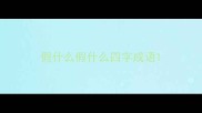 假什么假什么四字成语