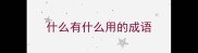 什么有什么用的成语