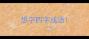 想字四字成语