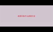 成语石鱼什么成语大全