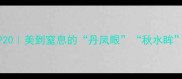 形容眼睛很美的成语TOP20美到窒息的丹凤眼秋水眸看完这篇彻底入坑