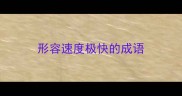 形容速度极快的成语