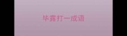 毕露打一成语