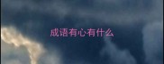 成语有心有什么