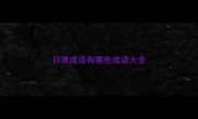 日薄成语有哪些成语大全