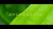 点什么称赞成语是什么