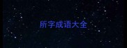 所字成语大全