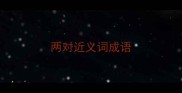 两对近义词成语