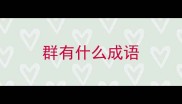 群有什么成语