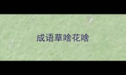 成语草啥花啥
