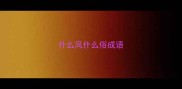 什么风什么俗成语