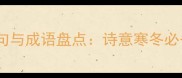 最全雪的诗句与成语盘点诗意寒冬必备文化素材