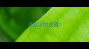 带旗字的成语