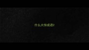 什么大惊成语