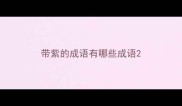 带紫的成语有哪些成语