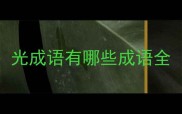 光成语有哪些成语全