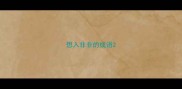 想入非非的成语
