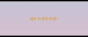 遍什么花的成语