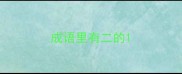 成语里有二的