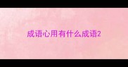 成语心用有什么成语