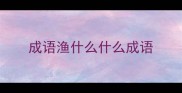 成语渔什么什么成语