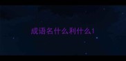 成语名什么利什么