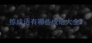 掠成语有哪些成语大全