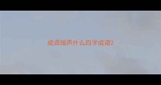 成语细声什么四字成语
