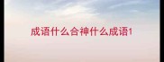 成语什么合神什么成语