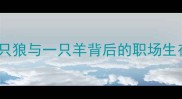 狼羊成语故事一只狼与一只羊背后的职场生存智慧与人生启示