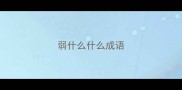 弱什么什么成语