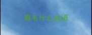 眉毛什么成语