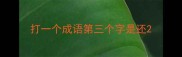 打一个成语第三个字是还