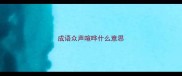 成语众声喧哗什么意思