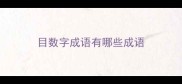 目数字成语有哪些成语