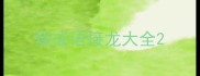 烧成语接龙大全