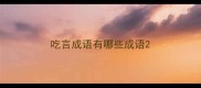 吃言成语有哪些成语