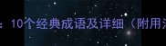 态千百变10个经典成语及详细附用法示例